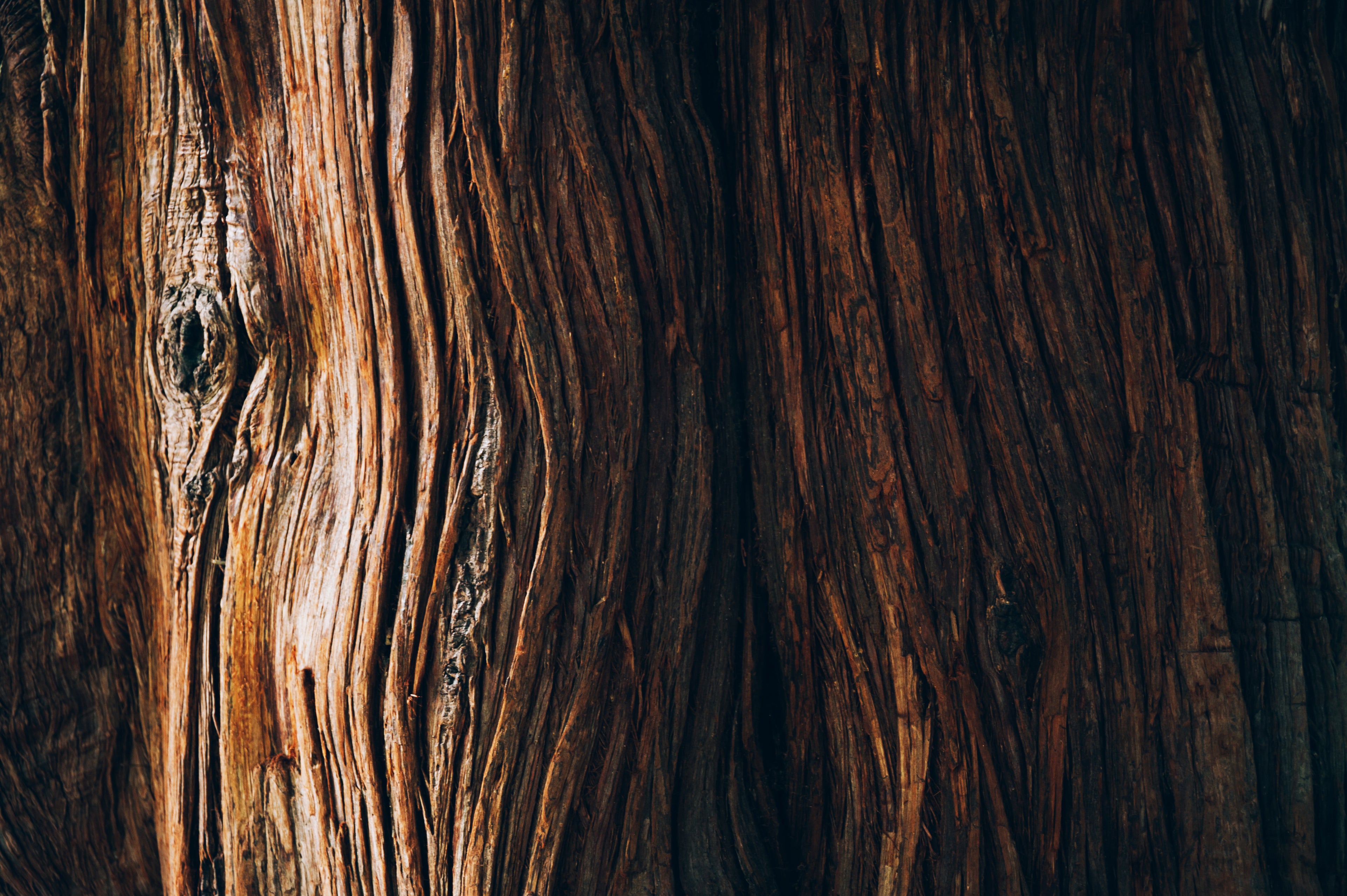 Close-up of a wooden surface with visible grain and texture